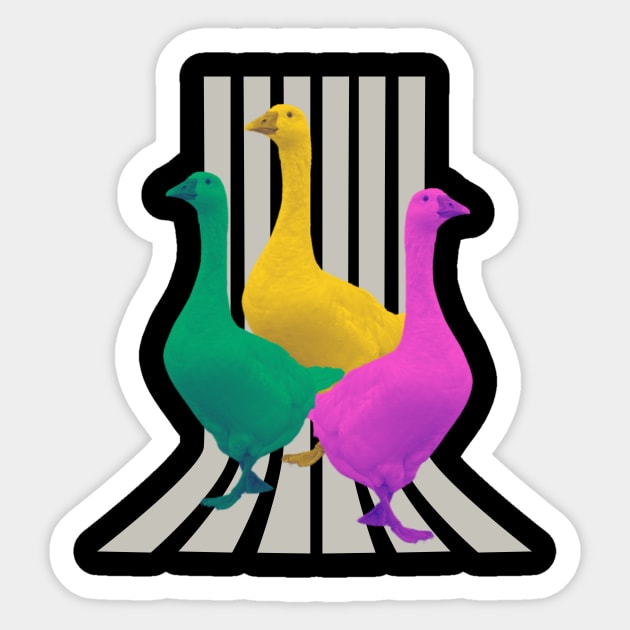 Pop colour geese Sticker by happygreen